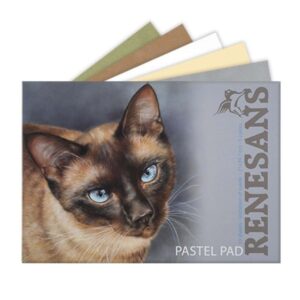 Blocco Renesans Carta Pastello Scamosciata A4 – 5 Colori, 10 Fogli, Ideale per Pastelli Secchi