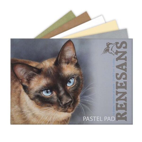 Blocco Renesans Carta Pastello Scamosciata A4 – 5 Colori, 10 Fogli, Ideale per Pastelli Secchi
