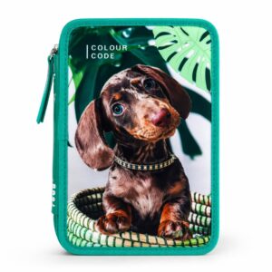astuccio scuola colour code bambino cane bassotto verde